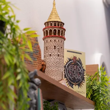 Medusa Historic Luxury Galata 3* Istanbul